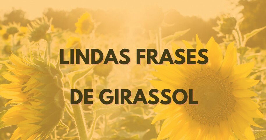 As 72 melhores frases de girassol para iluminar o seu dia ? - Pensador