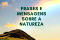 63 frases sobre a magia da natureza divina para reflexão 🌿🌱