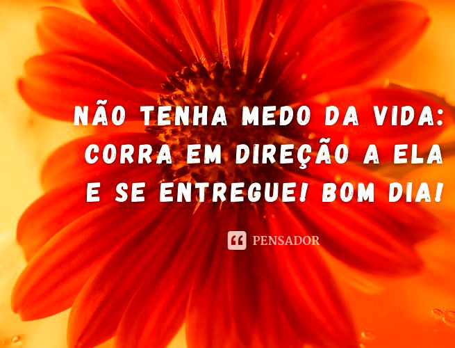 MENSAGENS: BOM DIA!