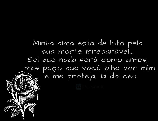 A responder a @fernandomiguel680#luto🖤 #saudades😭💔 #ripzahara