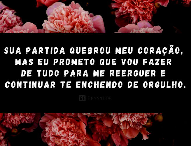 A responder a @fernandomiguel680#luto🖤 #saudades😭💔 #ripzahara