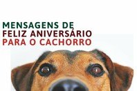 Dia de cãomemorar! 37 mensagens de aniversário para cachorro