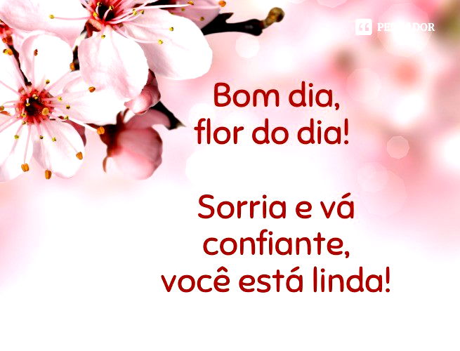 Bom dia-Frase-Que no dia de hoje: você seja visitado pela alegria