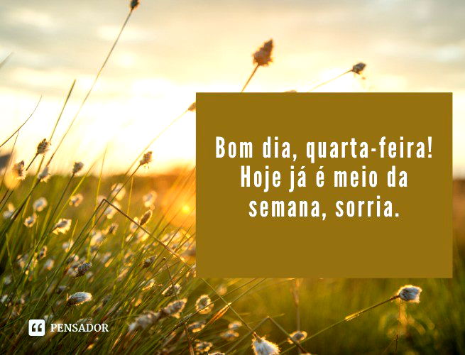 80 mensagens de bom dia para Whatsapp: escolha a perfeita para hoje 🌞 -  Pensador
