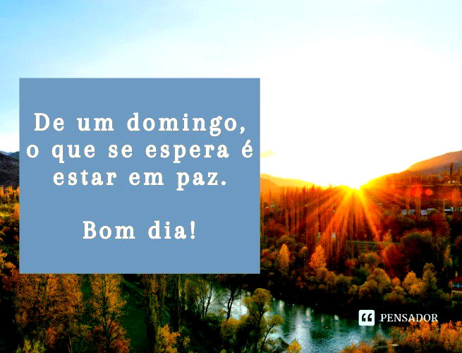 De um domingo, o que se espera é estar em paz. Bom dia!