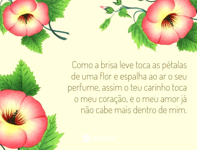 48 mensagens para sogra que vão tocar o coração dela com carinho ❤️ -  Pensador