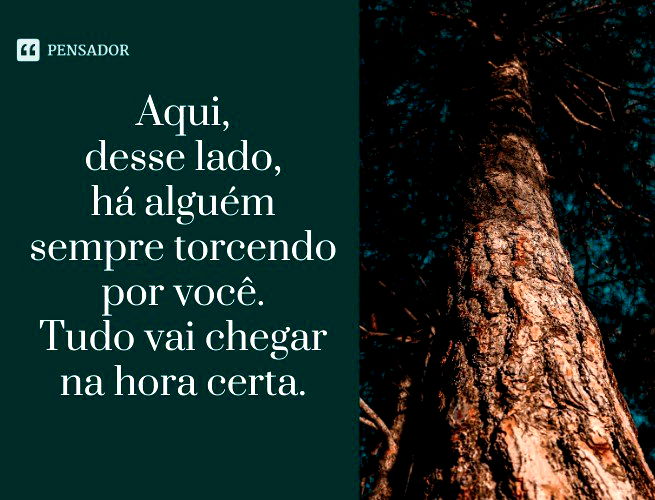 86 mensagens de otimismo para ter força e energia - Pensador