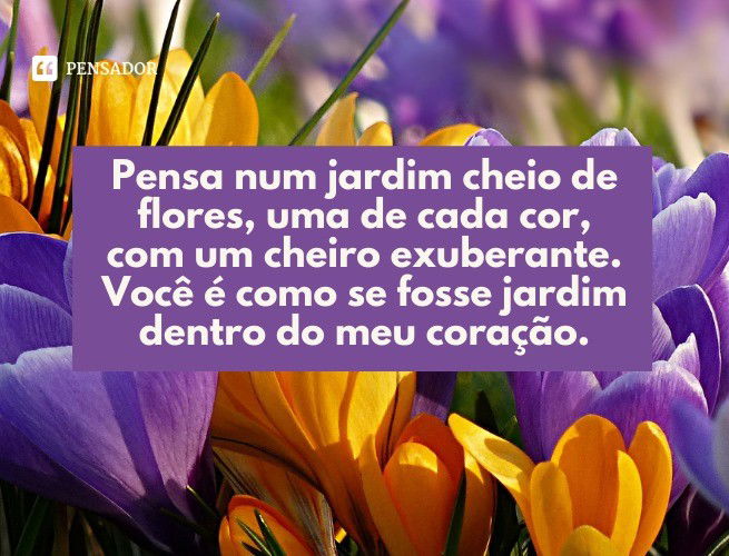 Pensa num jardim cheio de flores, uma de cada cor, com um cheiro exuberante. Você é como se fosse jardim dentro do meu coração.