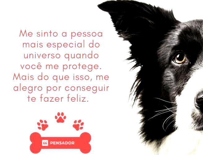 Me sinto a pessoa mais especial do universo quando você me protege. Mais do que isso, me alegro por conseguir te fazer feliz.