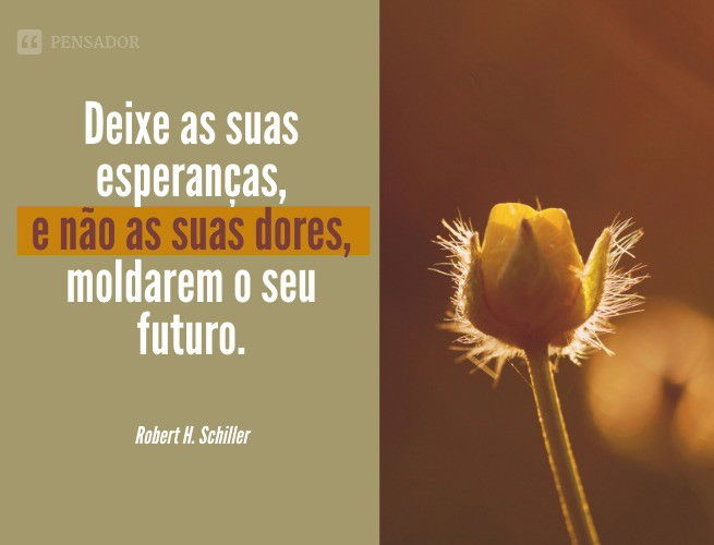 Deixe as suas esperanças, e não as suas dores, moldarem o seu futuro.  Robert H. Schiller