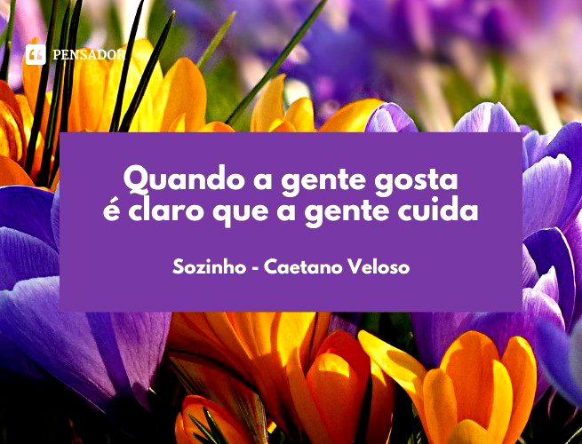 Quando a gente gosta é claro que a gente cuida Sozinho - Caetano Veloso