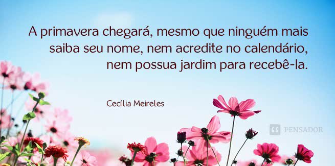 frases de mulheres, mulher, dia da mulher