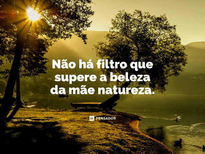 Grátis] Natureza, Paisagens - Vídeos Gratuitos