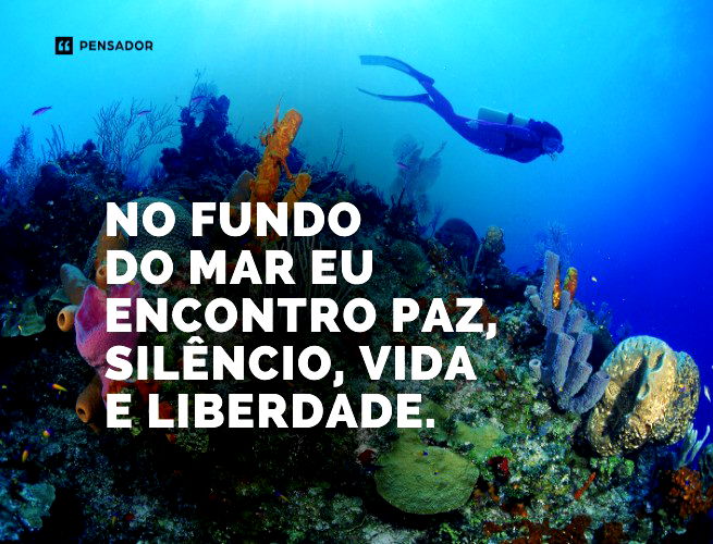 No fundo do mar eu encontro paz, silêncio, vida e liberdade.  