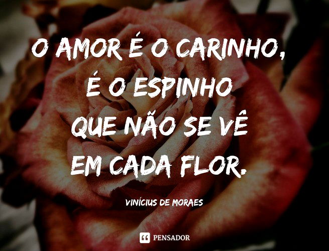 O amor é o carinho, É o espinho que não se vê em cada flor.
