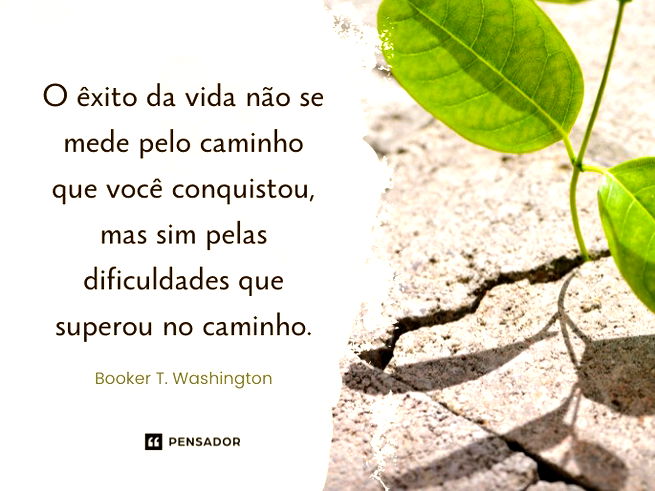 O êxito da vida não se mede pelo caminho que você conquistou, mas sim pelas dificuldades que superou no caminho.