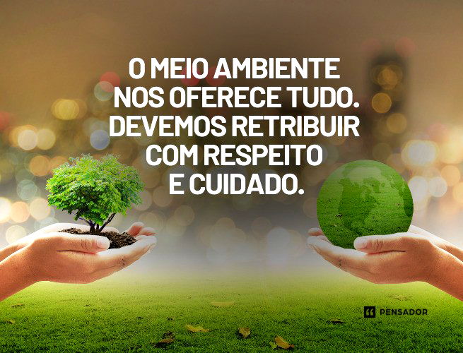 O meio ambiente nos oferece tudo. Devemos retribuir com respeito e cuidado.