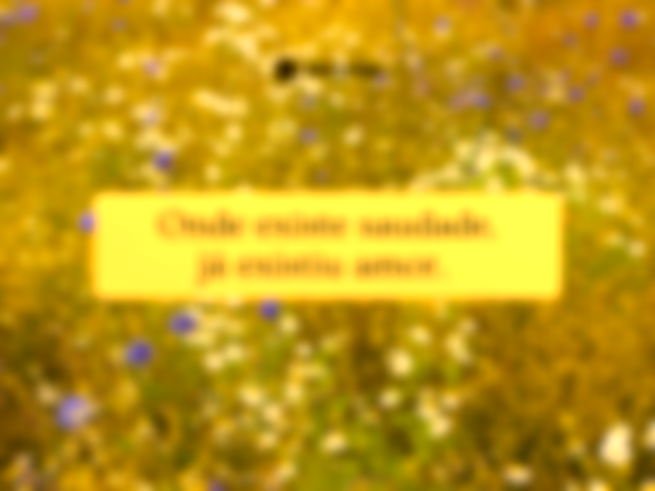 Onde existe saudade, já existiu amor. 