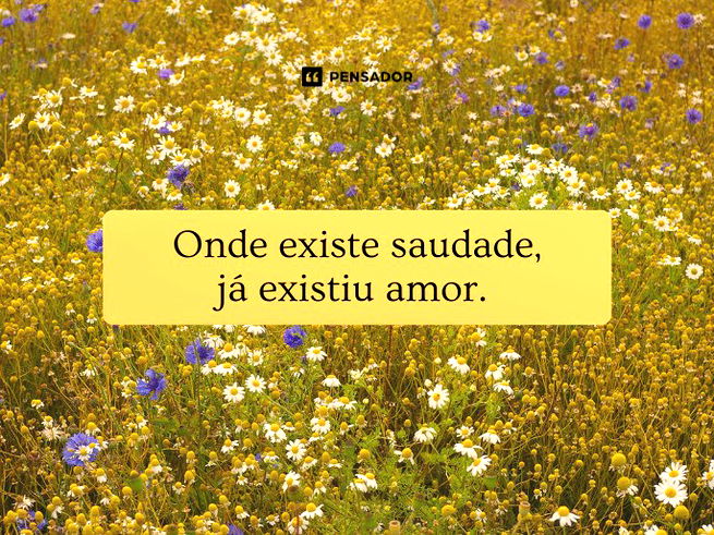Onde existe saudade, já existiu amor. 