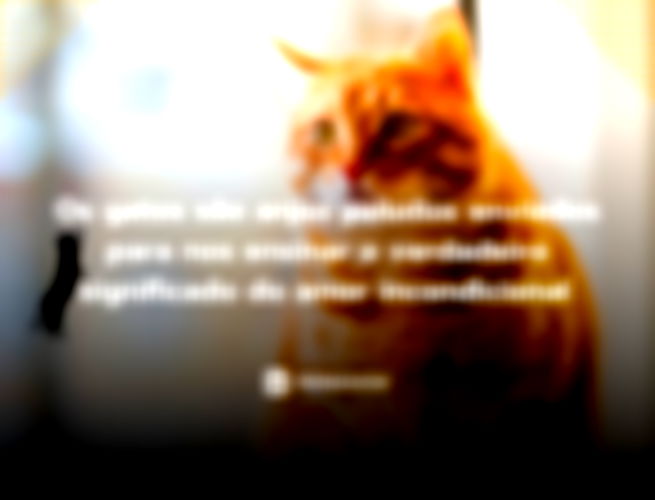 Os gatos são anjos peludos enviados para nos ensinar o verdadeiro significado do amor incondicional.