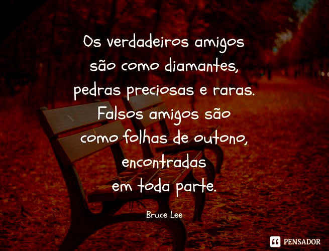 Os verdadeiros amigos são como diamantes, pedras preciosas e raras. Falsos amigos são como folhas de outono, encontradas em toda parte. Bruce Lee