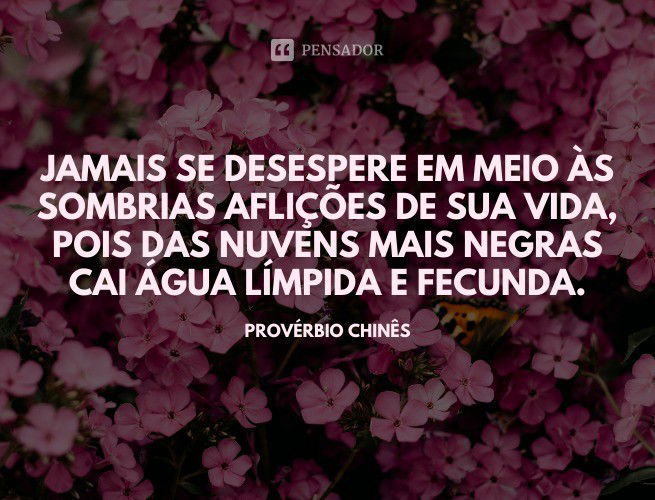 Jamais se desespere em meio às sombrias aflições de sua vida, pois das nuvens mais negras cai água límpida e fecunda. Provérbio Chinês