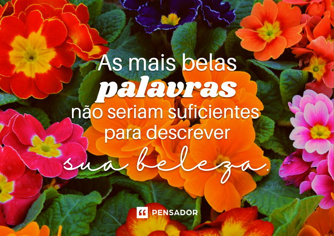 As mais belas palavras não seriam suficientes para descrever sua beleza.