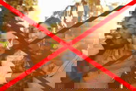 Esta palavra pode estar acabando com os relacionamentos humanos.