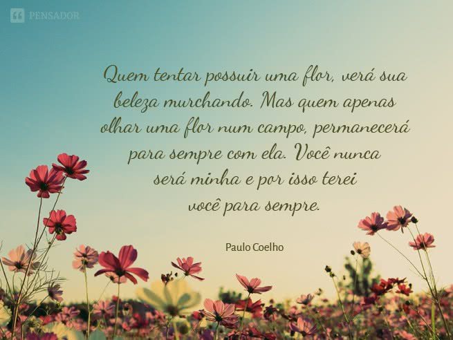 18 Frases De Paulo Coelho Que Te Marcaram Para Sempre Pensador