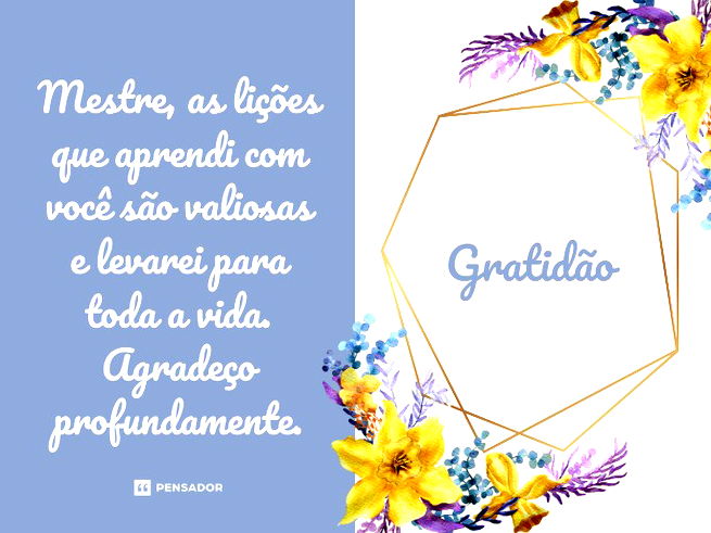 Mestre, as lições que aprendi com você são valiosas e levarei para toda a vida. Agradeço profundamente. 