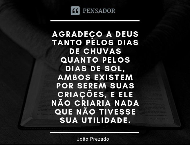 53 mensagens de agradecimento pela ajuda que demonstram gratidão - Pensador