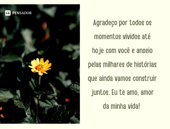62 lindas mensagens para o amor da minha vida 💝 - Pensador