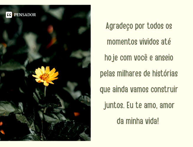 Agradeço por todos os momentos vividos até hoje com você e anseio pelas milhares de histórias que ainda vamos construir juntos. Eu te amo, amor da minha vida!