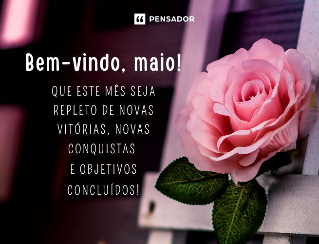 Mensagem de Bom dia! Feliz Agosto! Agosto chegou, que seja belo