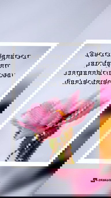 Que a alegria e a paz façam companhia no seu final de tarde!