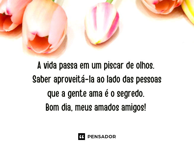 Bom Dia!  Frases inspiracionais, Frases de carinho, Lindas mensagens para  amigos