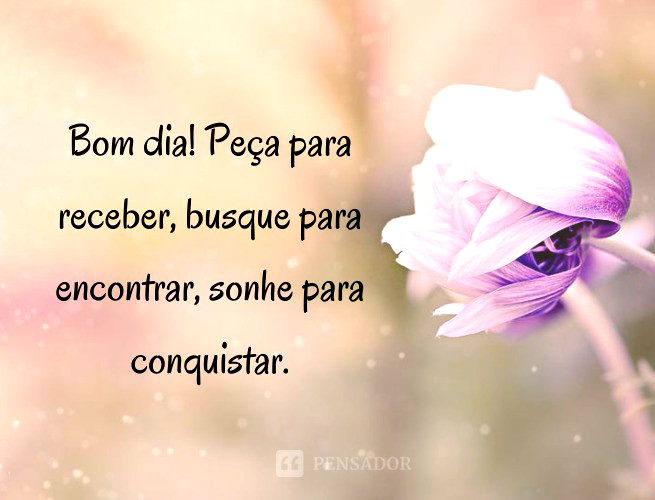 bomdia #motivação #gratidão #deusnocomando #1dejunho