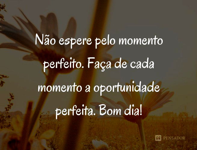 Palavras De Motivação Hoje é Um Bom Dia Para Um Bom Dia . Citação