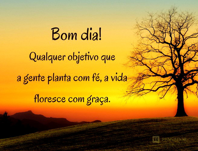 Bom dia motivacional: 63 frases para inspirar o seu dia! - Pensador