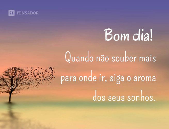 Bom dia motivacional: 63 frases para inspirar o seu dia! - Pensador