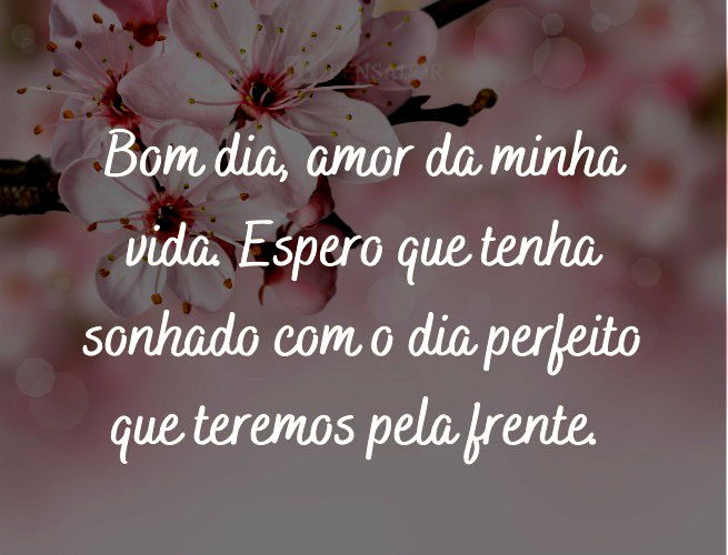 Bom dia, amor da minha vida. Espero que tenha sonhado com o dia perfeito que teremos pela frente.