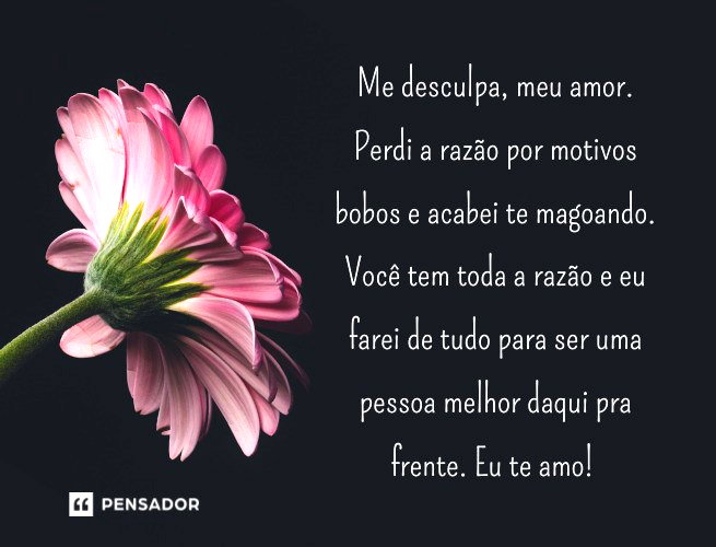 Desculpa, amor! 53 mensagens para fazer as pazes com a pessoa amada ...
