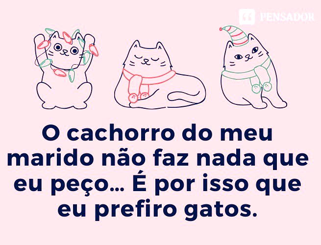 Louca dos Gatos - amo esses joguinhos 😂😂 Curta a página Louca