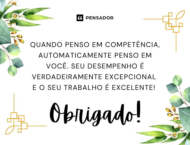 Quando penso em competência, automaticamente penso em você. Seu desempenho é verdadeiramente excepcional e o seu trabalho é excelente! Obrigado!