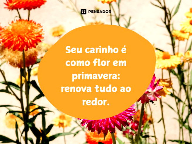 Seu carinho é como flor em primavera: renova tudo ao redor. 🌸🌞🌷
