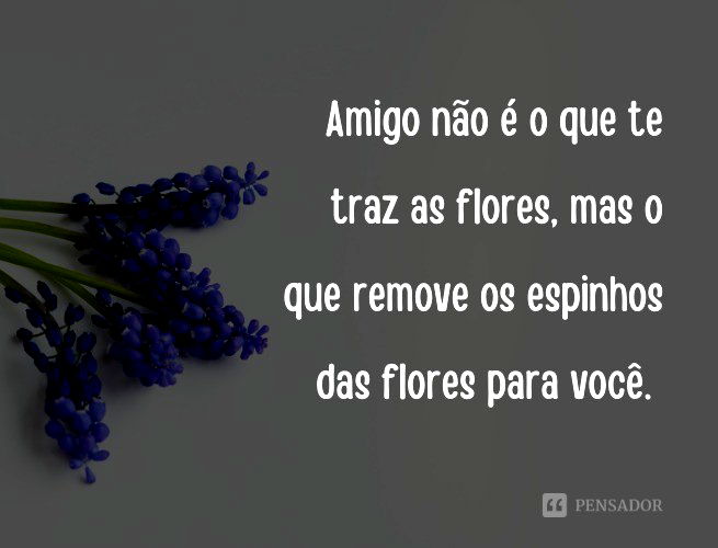 32 frases de amizade engraçadas para enviar aos amigos - Pensador