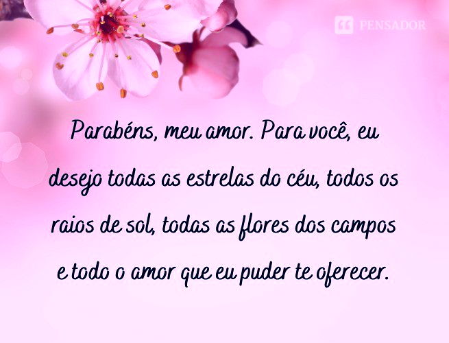 Parabéns, meu amor. Para você, eu desejo todas as estrelas do céu, todos os raios de sol, todas as flores dos campos e todo o amor que eu puder te oferecer.