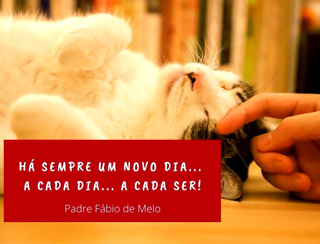 As 152 melhores frases de bom dia com reflexão ⛅ - Pensador