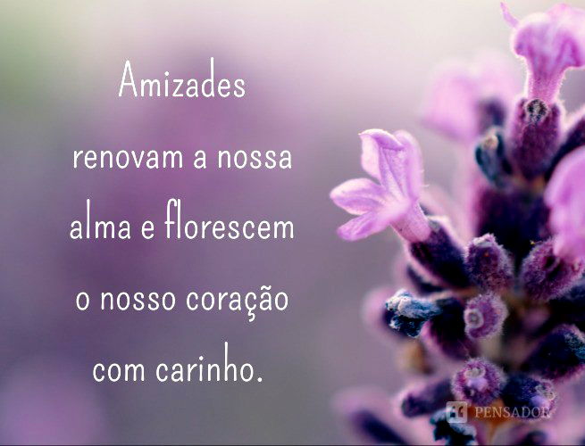 Amizades renovam a nossa alma e florescem o nosso coração com carinho.