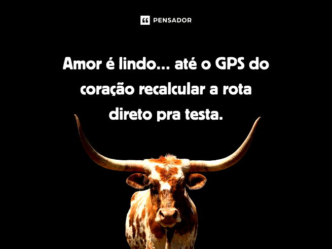 Amor é lindo… até o GPS do coração recalcular a rota direto pra testa.